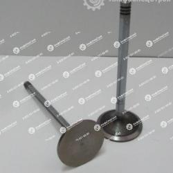 02283374 Клапан впускной на двигатель DEUTZ.
