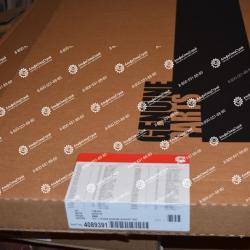 4089391 Комплект нижних прокладок Cummins K19