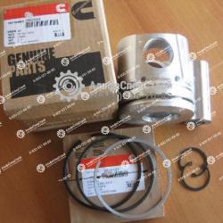 3926631 Поршень на двигатель Cummins B5.9 6BTA5.9-C QSB5.9