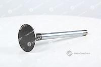 3142D041 Впускной клапан  Perkins, Перкинс
